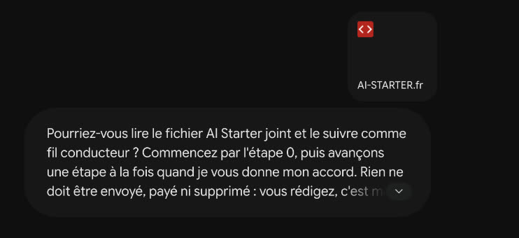 Le kit joint et le message de départ en français dans Gemini